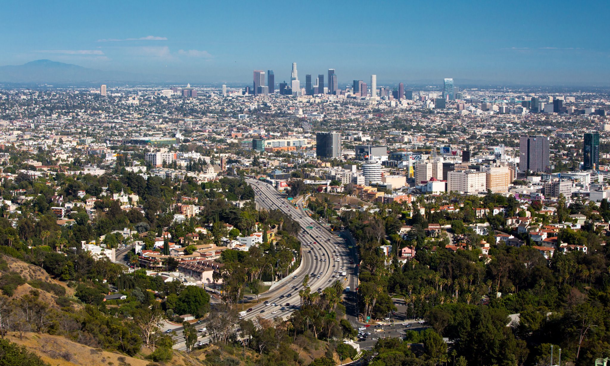 Los Angeles Cityscape